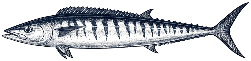 Ono