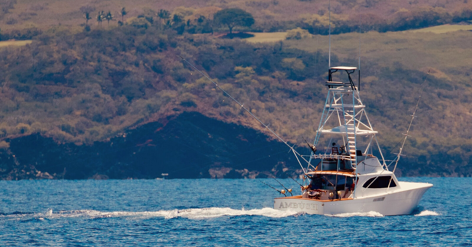 Ambush off the Kona coast